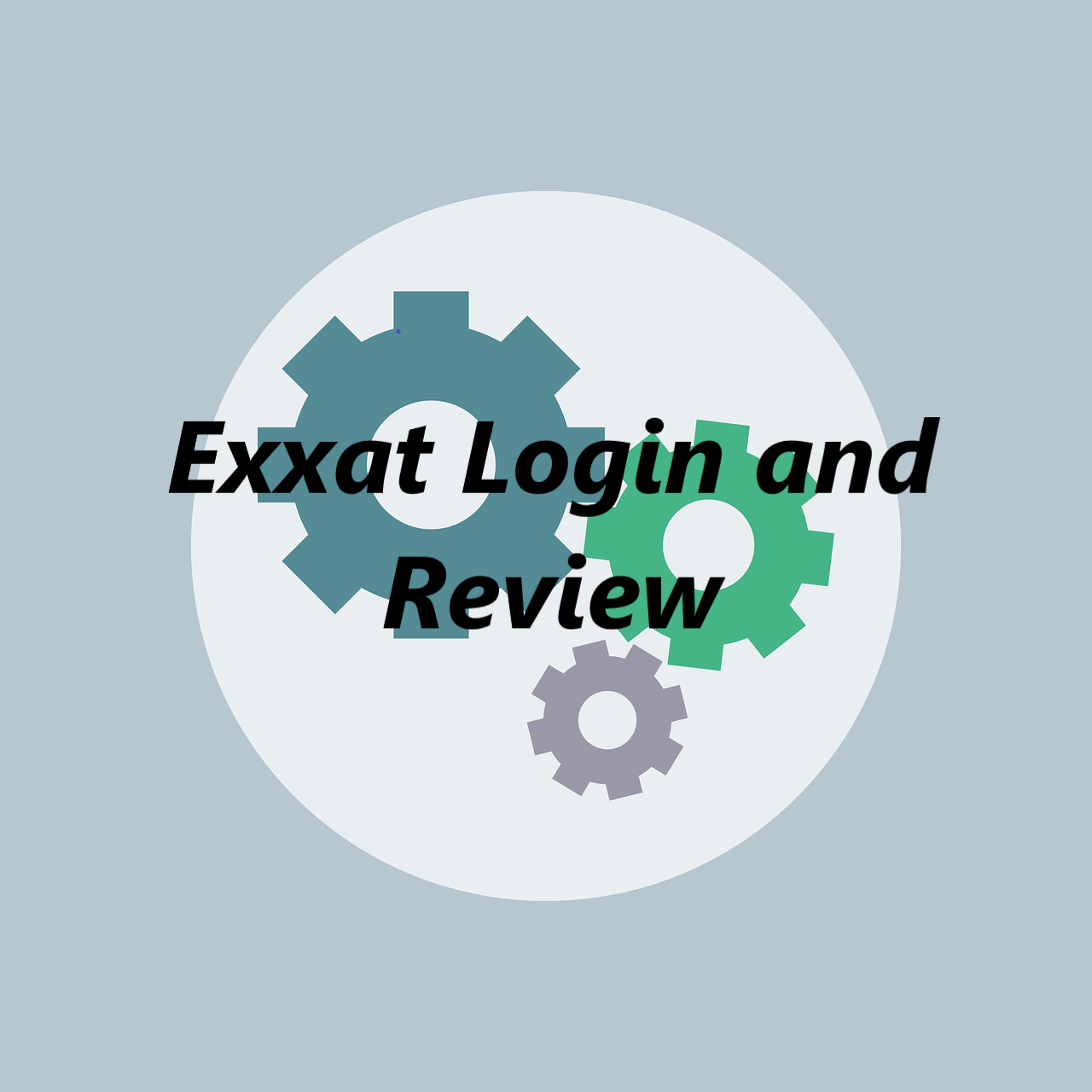 Exxat Login and Review image